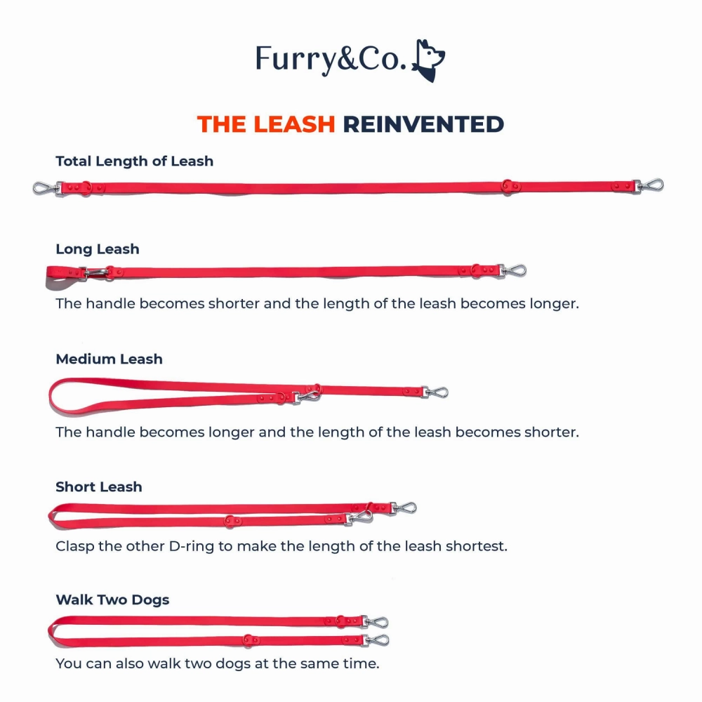 Furry & Co Weatherproof Leash for Dogs (Matcha Latte)