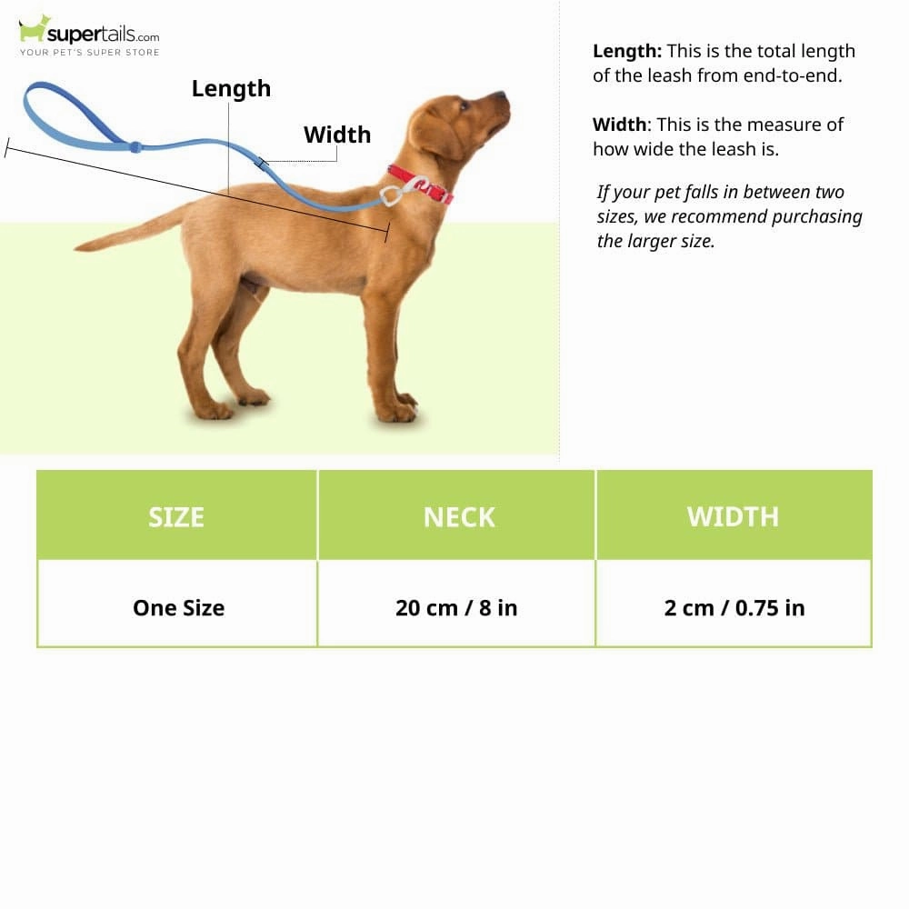 Glenand Petz Pure Nylon Padded Collar for Dogs (Light Blue,3/4 inches)