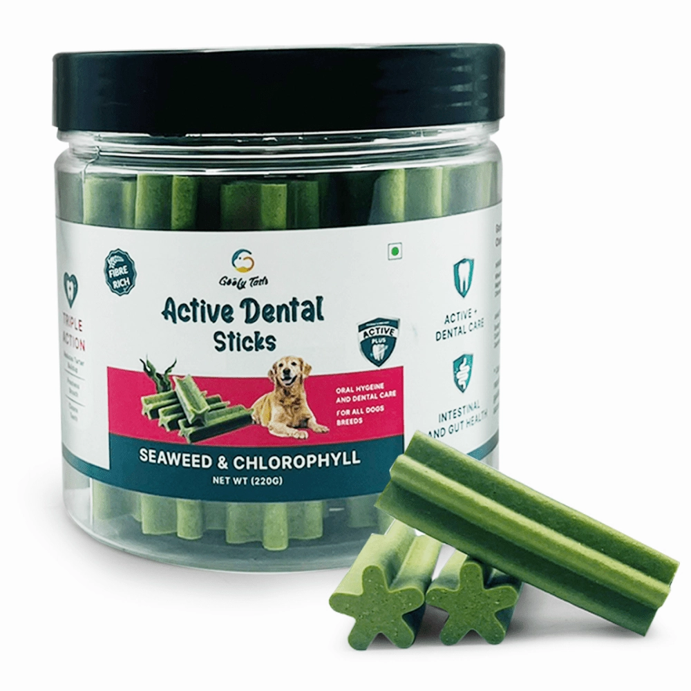 Goofy Tails Seaweed Active Dental Twists Dog Treats