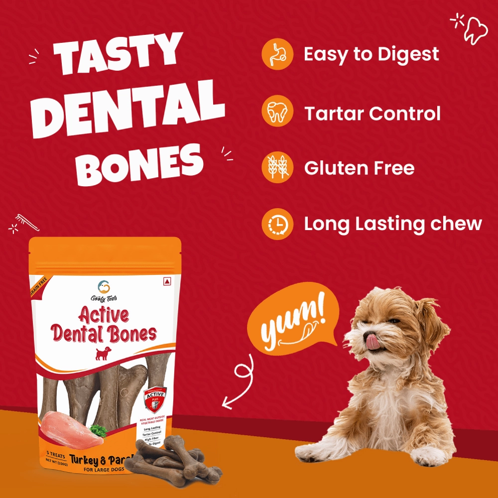 Goofy Tails Turkey and Parsley Active Dental Bone Dog Treats