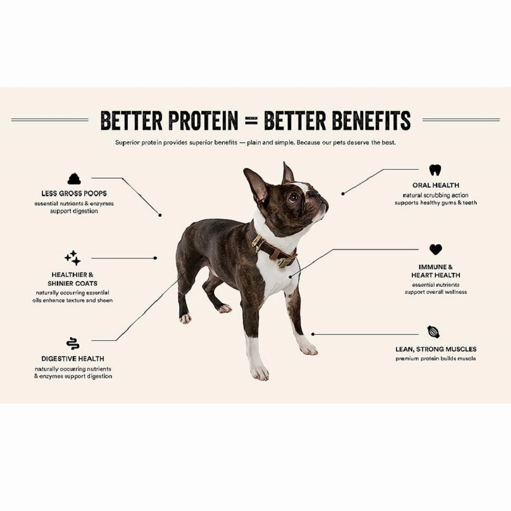 Grain Free Freeze Dried Minnows Dog Treats
