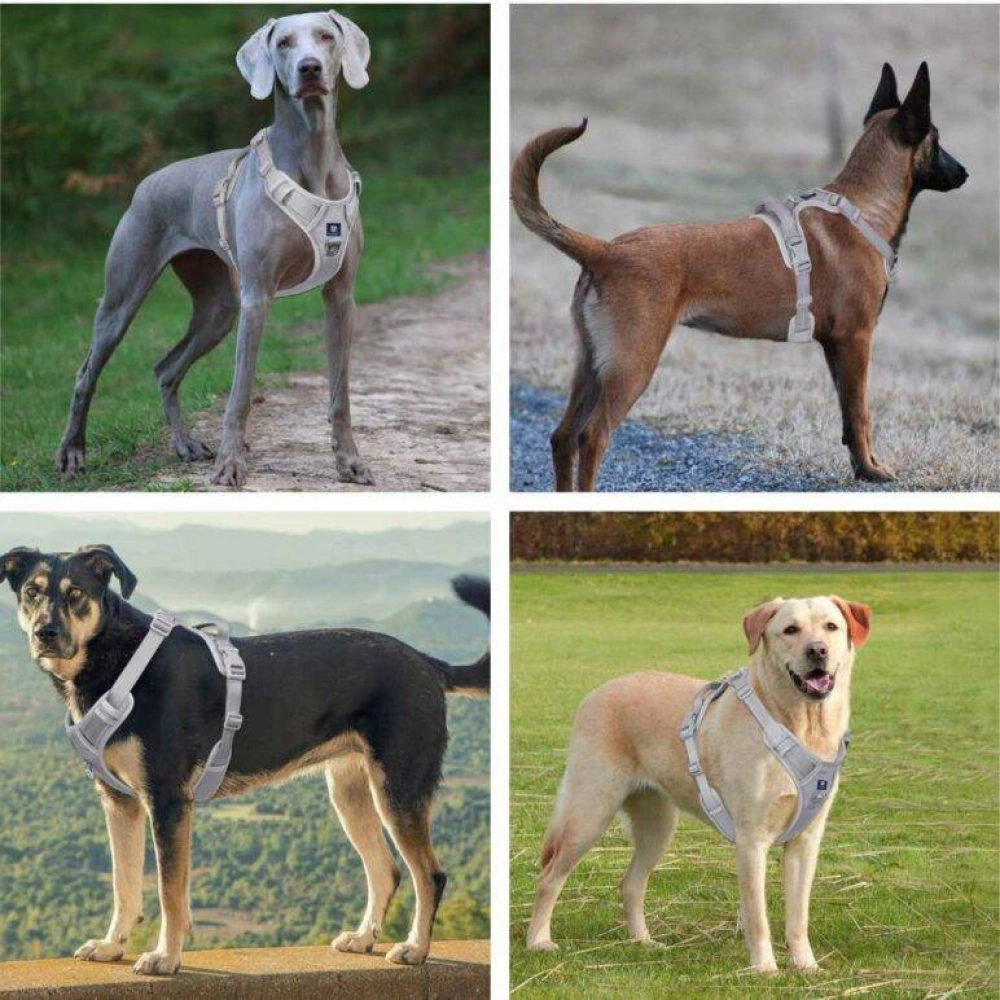 Hank 3M Reflective Harness for Puller Dogs (Grey)