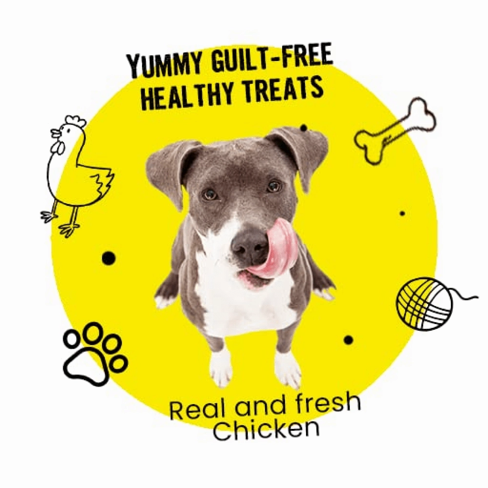 Healing Leaf Hemp Peanut Butter and Bark Out Loud Skin & Coat Hemp Chew Stix for Dogs and Cats Combo