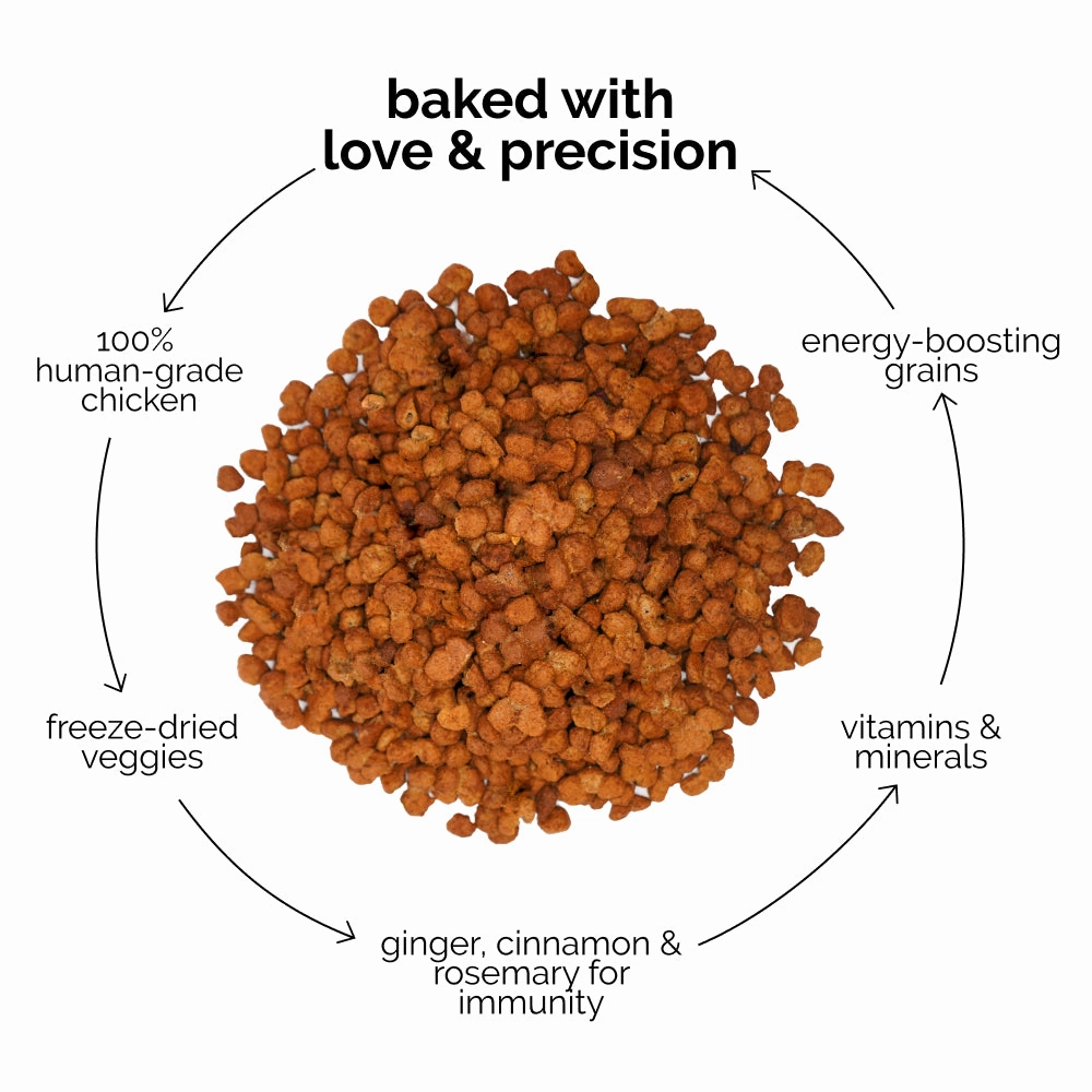 Henlo Chicken and Egg Baked Dry Food for Adult Dogs & Puppies and Chicken Pops Treats for Dogs Combo