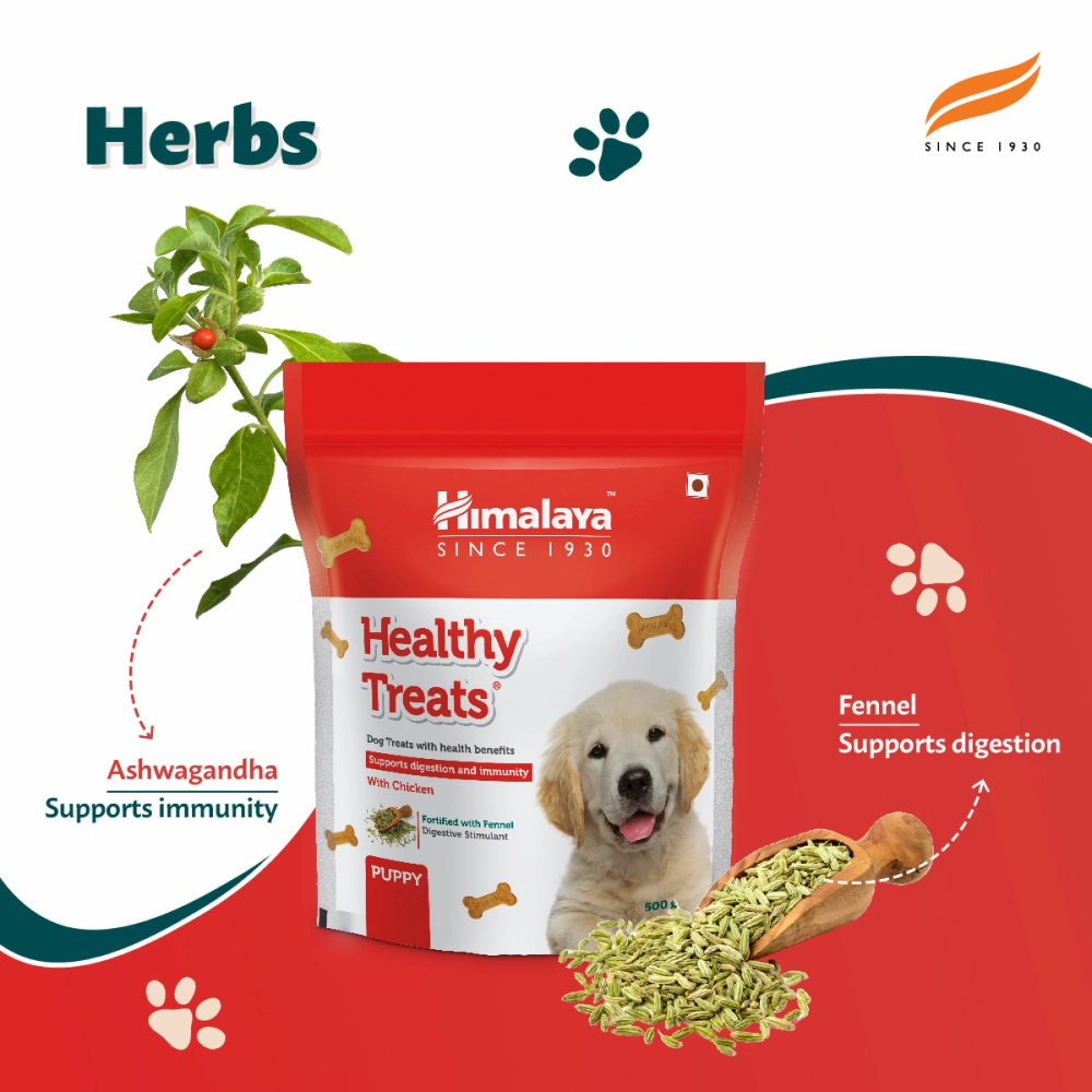 Himalaya Chicken Healthy Treats for Puppies