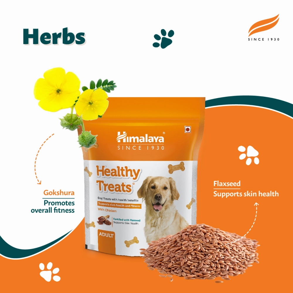 Himalaya Healthy Chicken and Henlo Chicken Pops Dog Treats Combo