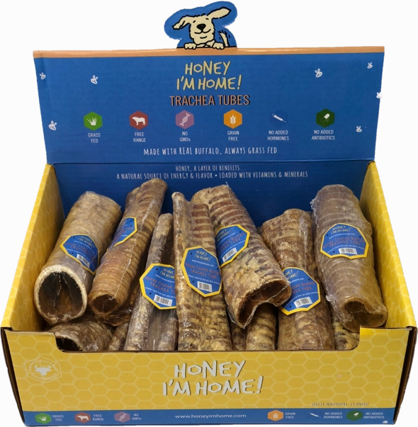 Honey I'm Home Trachea Tube