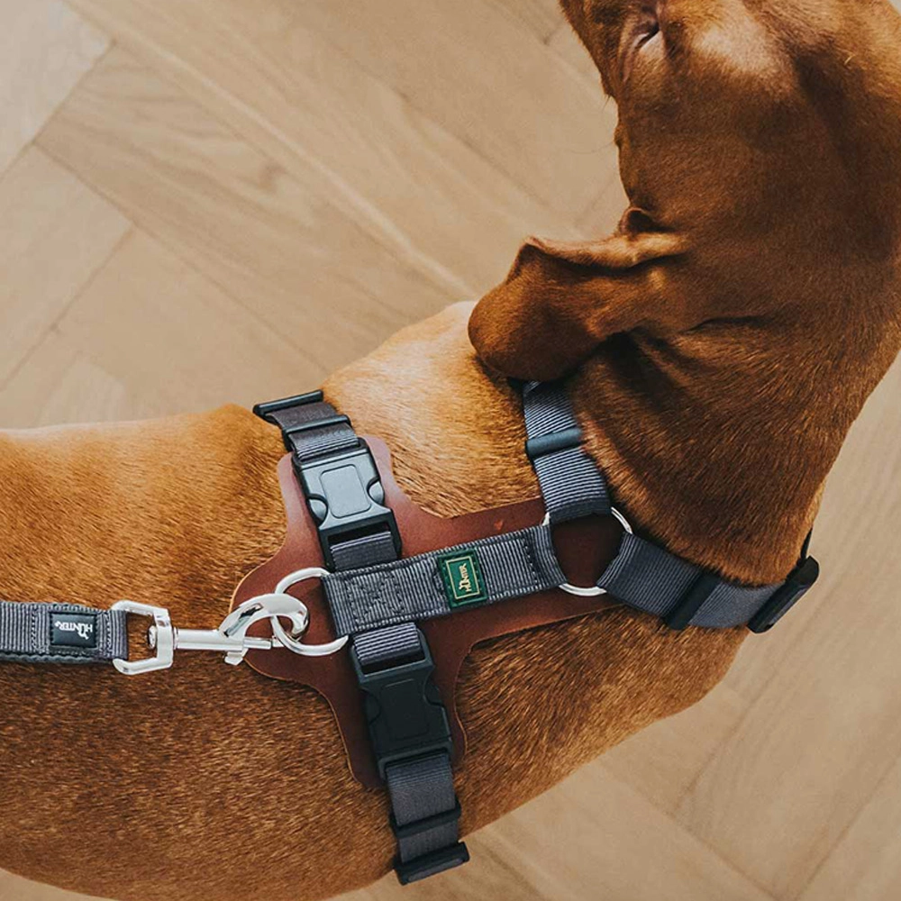 Hunter Aalborg Mixed Adjustable Harness for Dogs (Cognac/Grey)