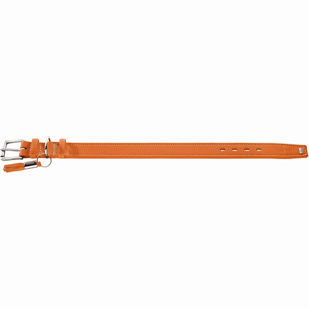 Hunter Cannes Collar for Dogs (Orange)