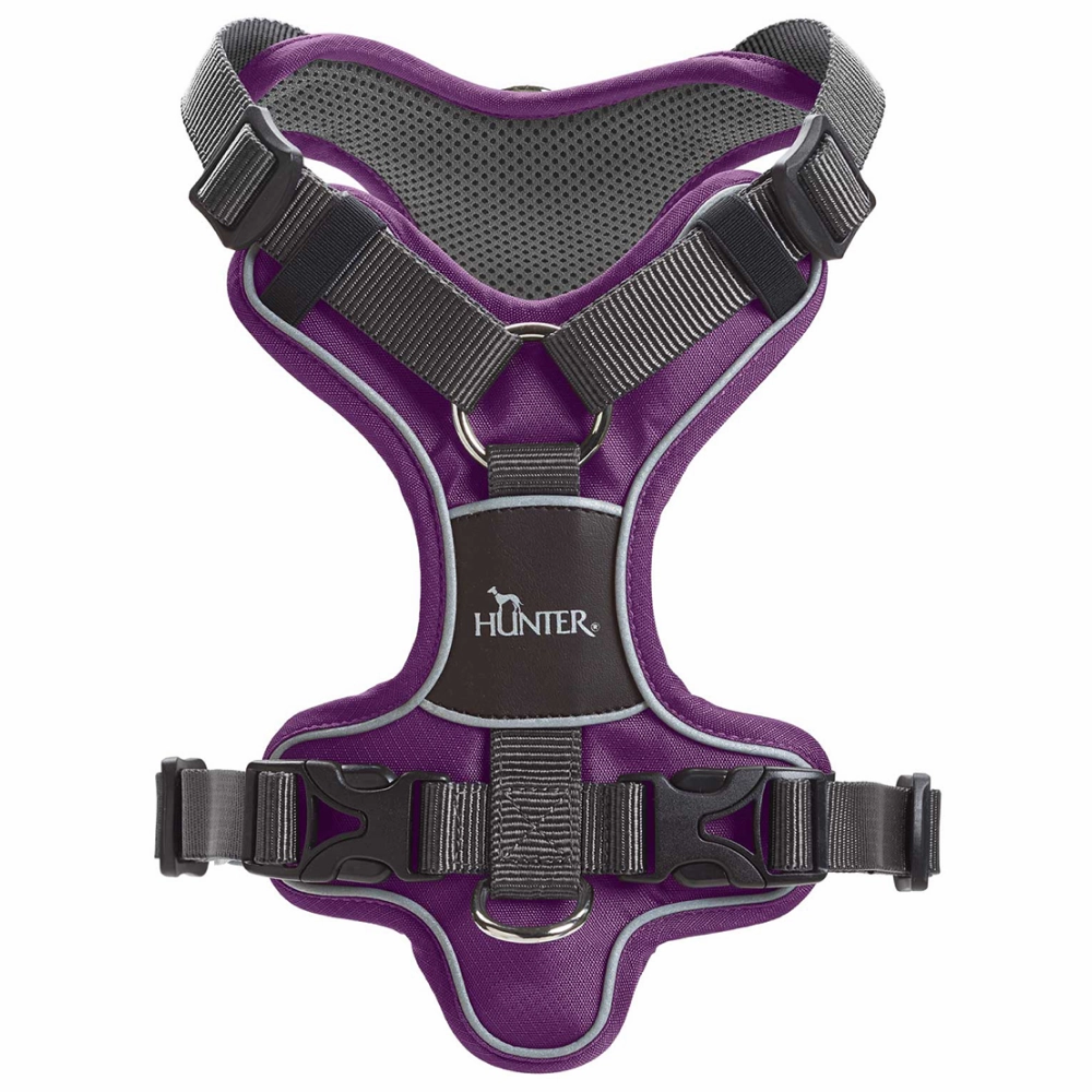 Hunter Divo Harness for Dogs (Violet)