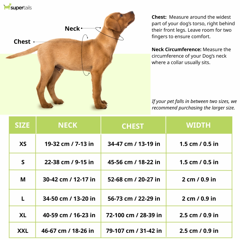 Hunter Divo Harness for Dogs (Violet)