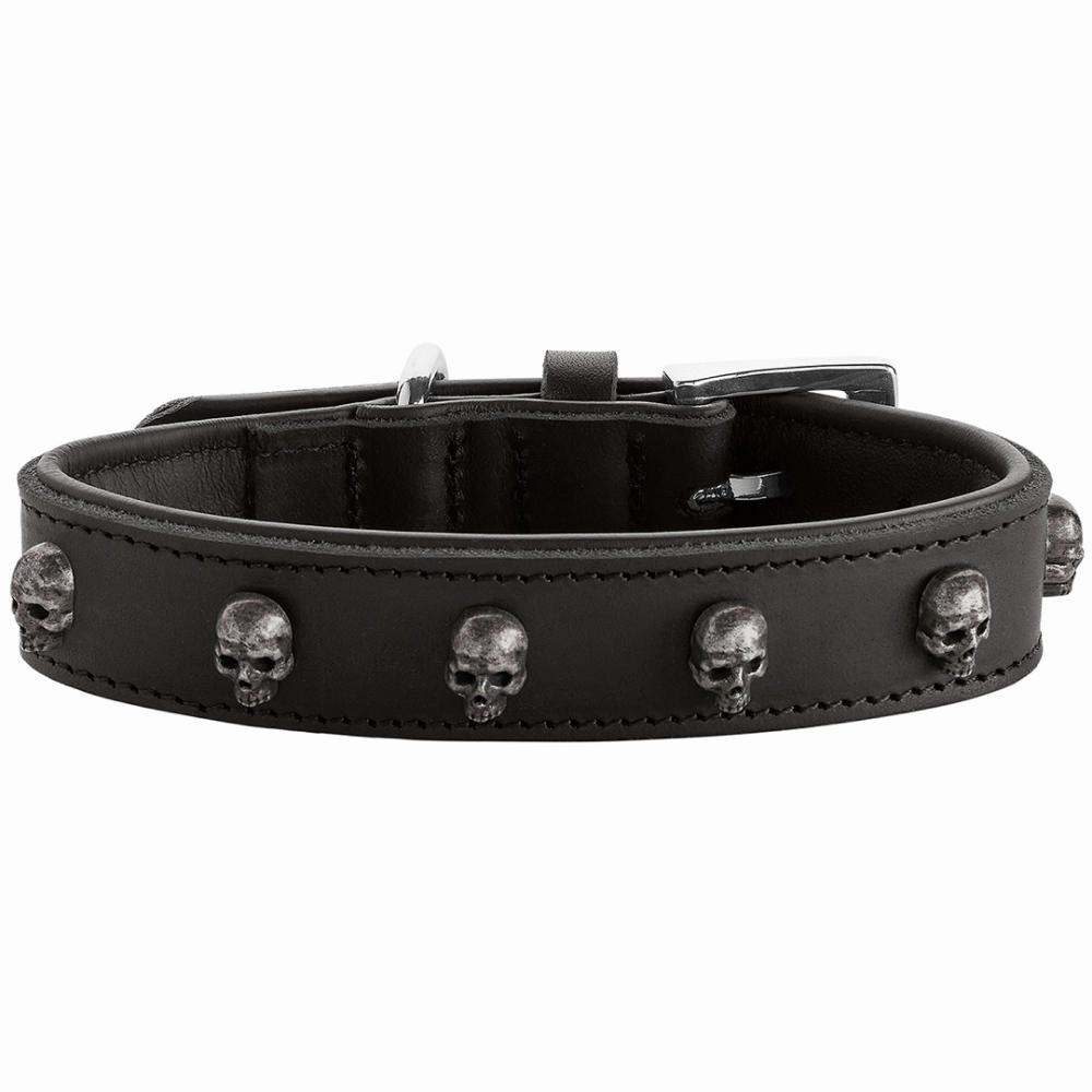 Hunter Tijuana Collar for Dogs (Black)