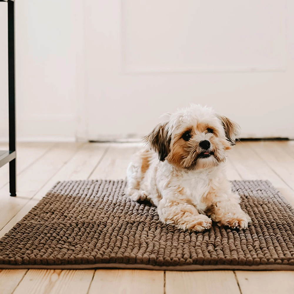 Hunter Waterloo Brush Mat for Dogs (Brown)