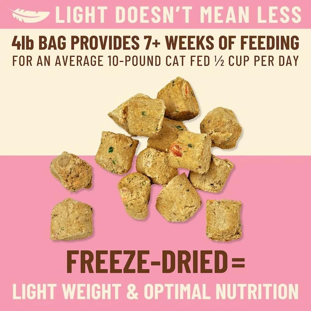 Kibble In The Raw - Freeze Dried Beef Cat Food