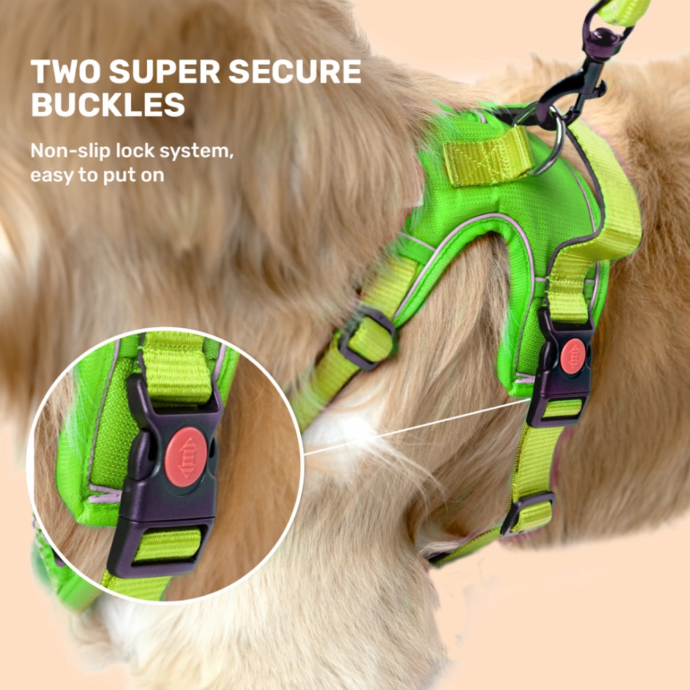 Kibbo Reflective Vest Harness with Dual Lock Buckle for Dogs (Parrot Green)