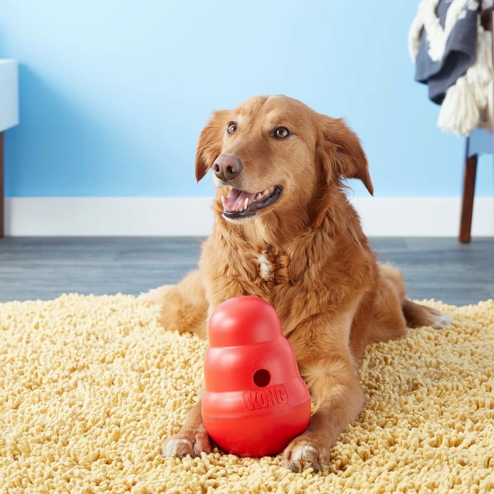 Kong Wobbler Toy for Dogs (Red) | For Aggressive Chewers
