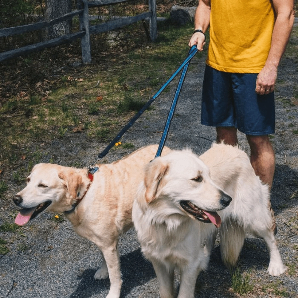 Kurgo Quantum 6 in 1 Dog Leash (Barn Red)