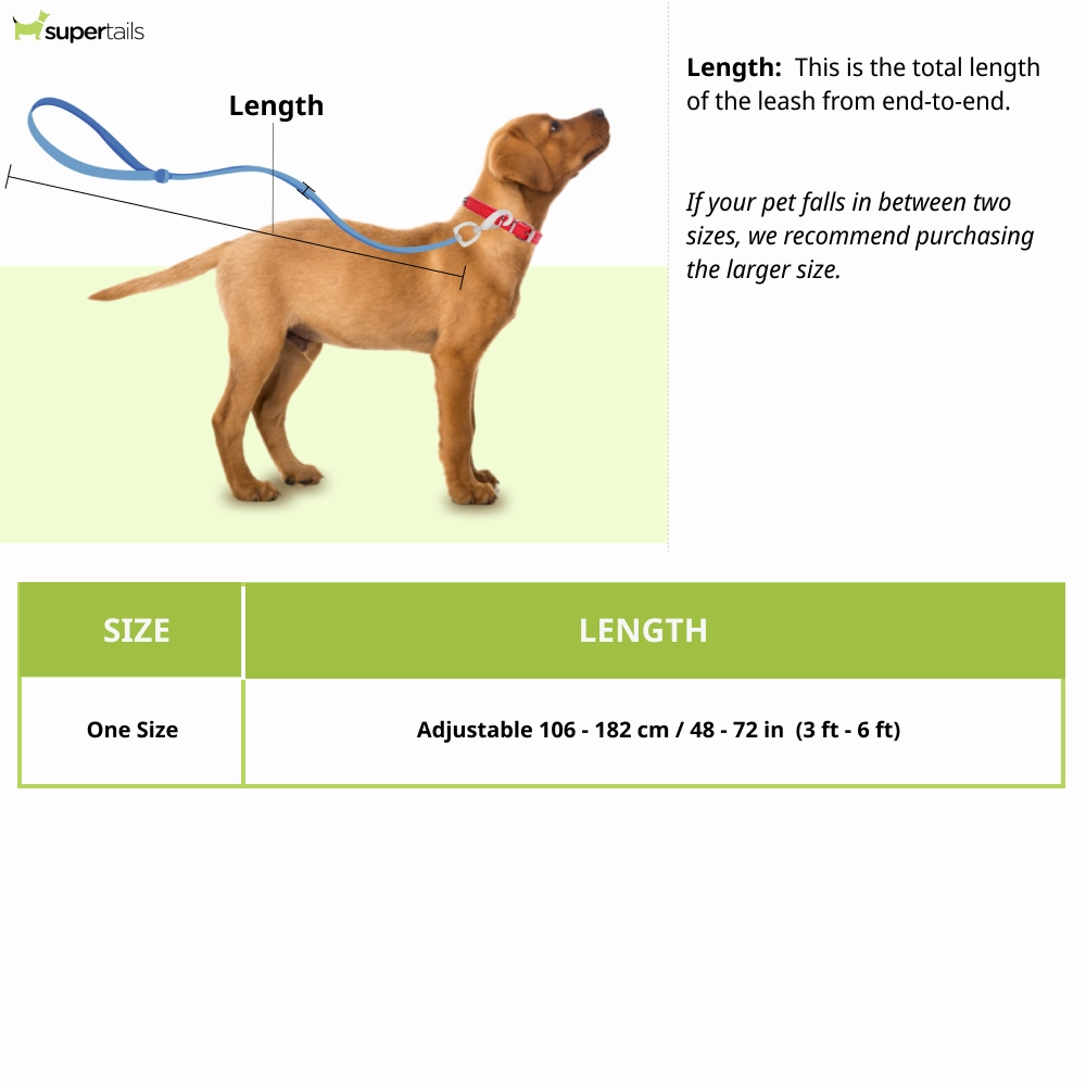 Kurgo Quantum 6 in 1 Dog Leash (Barn Red)