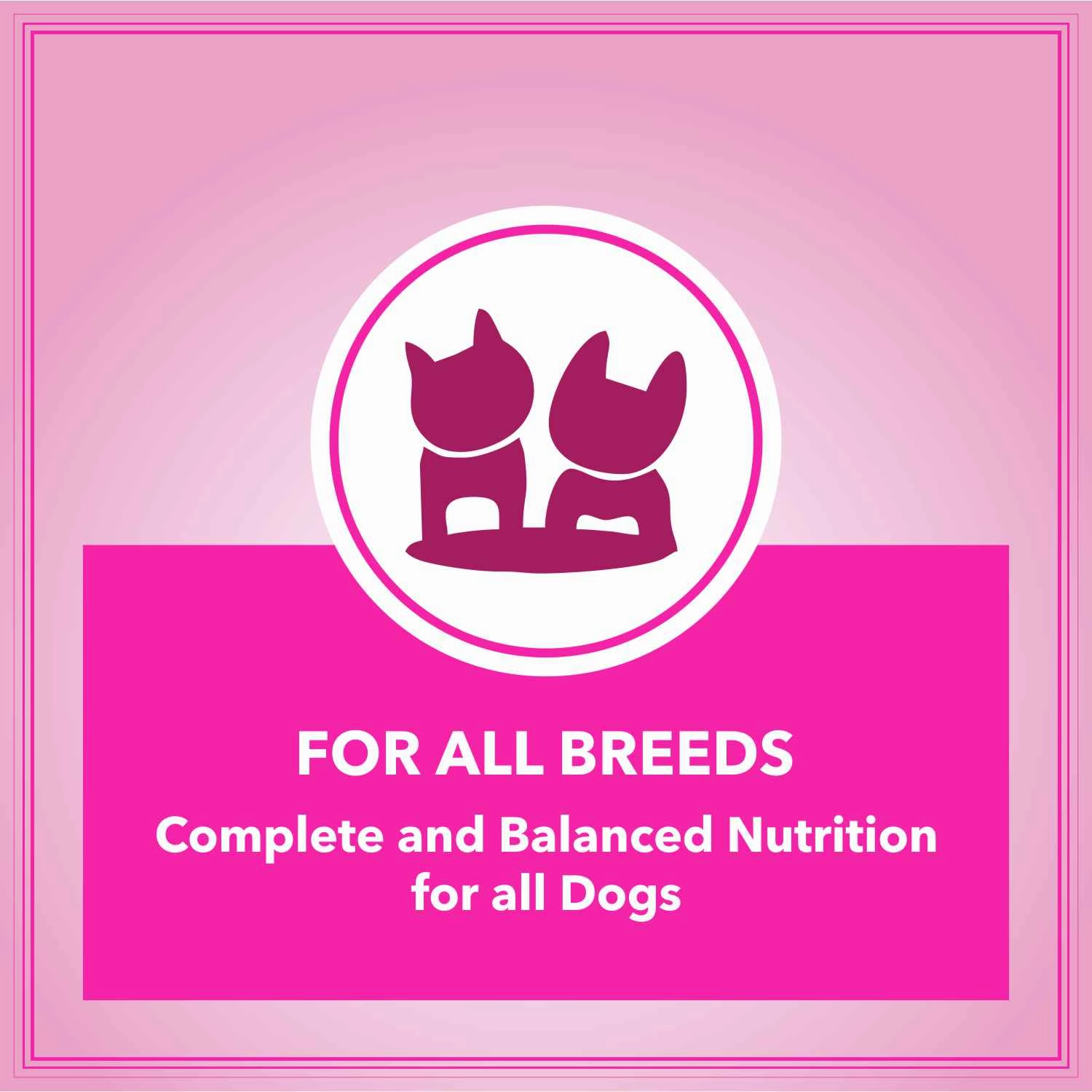 Let's Bite Active Adult Chicken Dry Food for Dogs