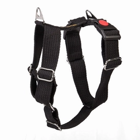 Let's Wag H Harness for Dogs (Black)