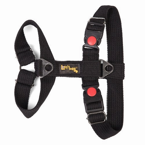 Let's Wag H Harness for Dogs (Black)