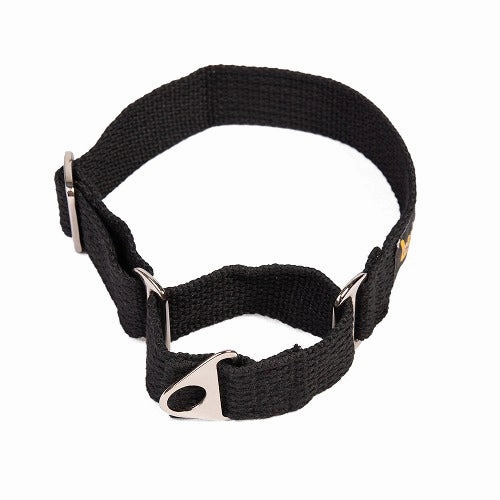 Let's Wag Martingale Collar for Dogs (Black)