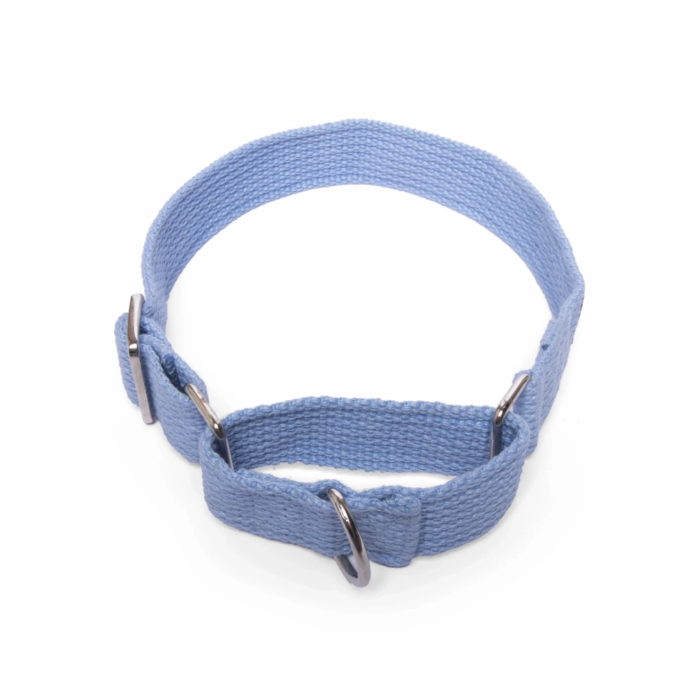 Let's Wag Martingale Fabric Collar for Dogs (Sky Blue)