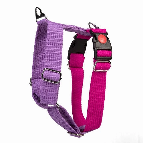 Let's Wag Training and Safety Dual Clip Designed H Harness for Dogs (Pink/Purple)