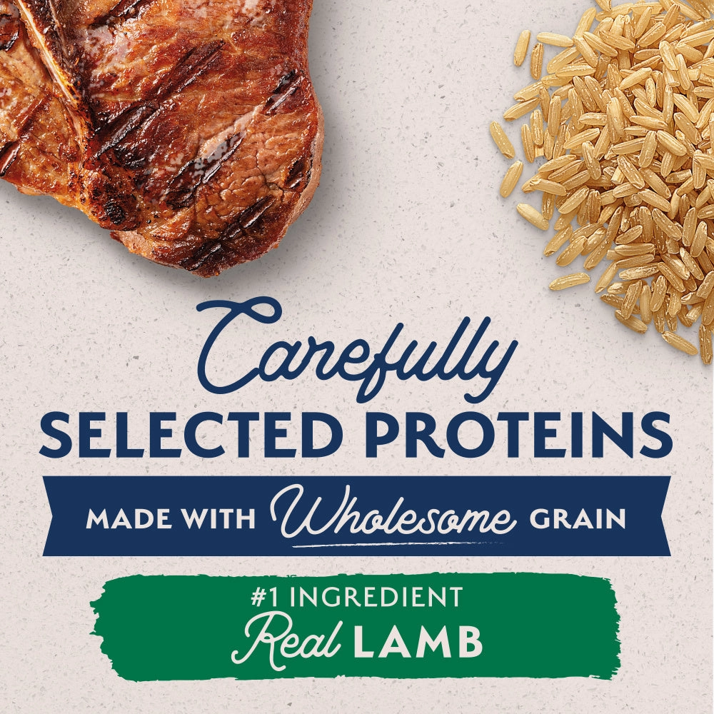 Natural Balance L.I.D. Limited Ingredient Diet Lamb & Brown Rice Large Breed Bites Dry Dog Food