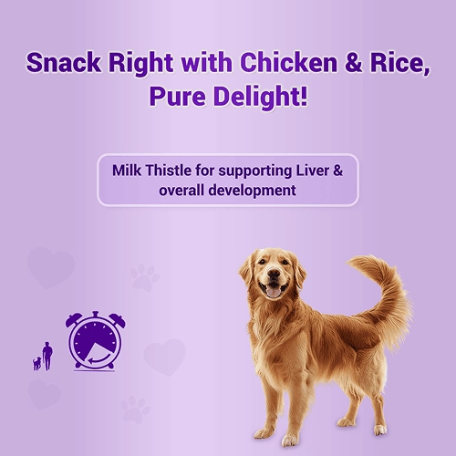 Natural Remedies Treat O'Clock Chicken and Rice Treats for Dogs