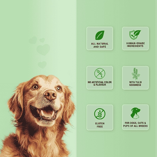 Natural Remedies Treat O'Clock Hemp with Chicken Meat Treats for Dogs