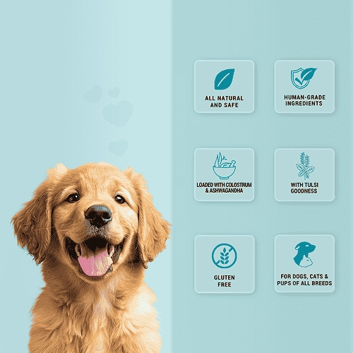 Natural Remedies Treat O'Clock Milk with Chicken Meat Treats for Dogs