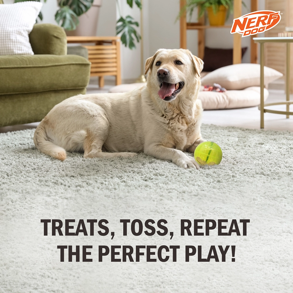 Nerf Dog Bungee Treat Ball Toy for Dogs (Green)