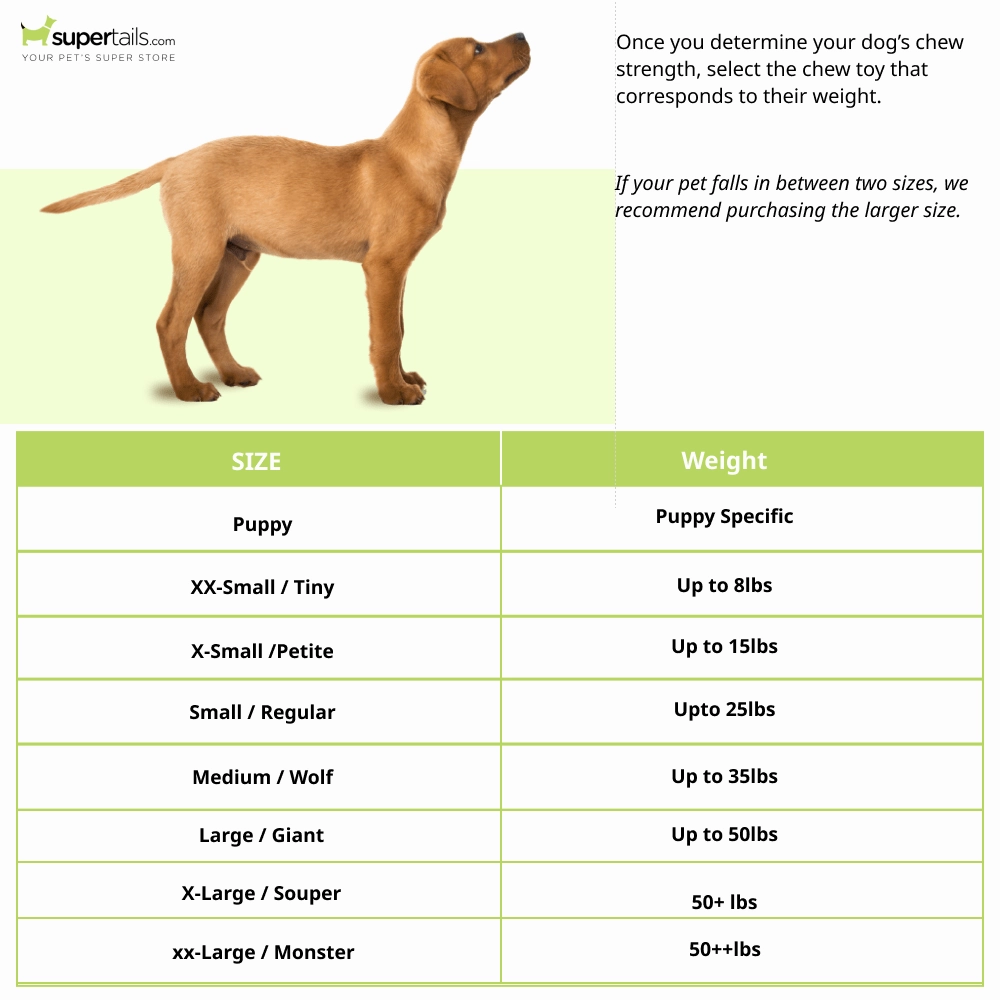 Nylabone Beef Broth ,Veggies and Bacon Flavored Power Chew Twin Bone (Orange,Brown)