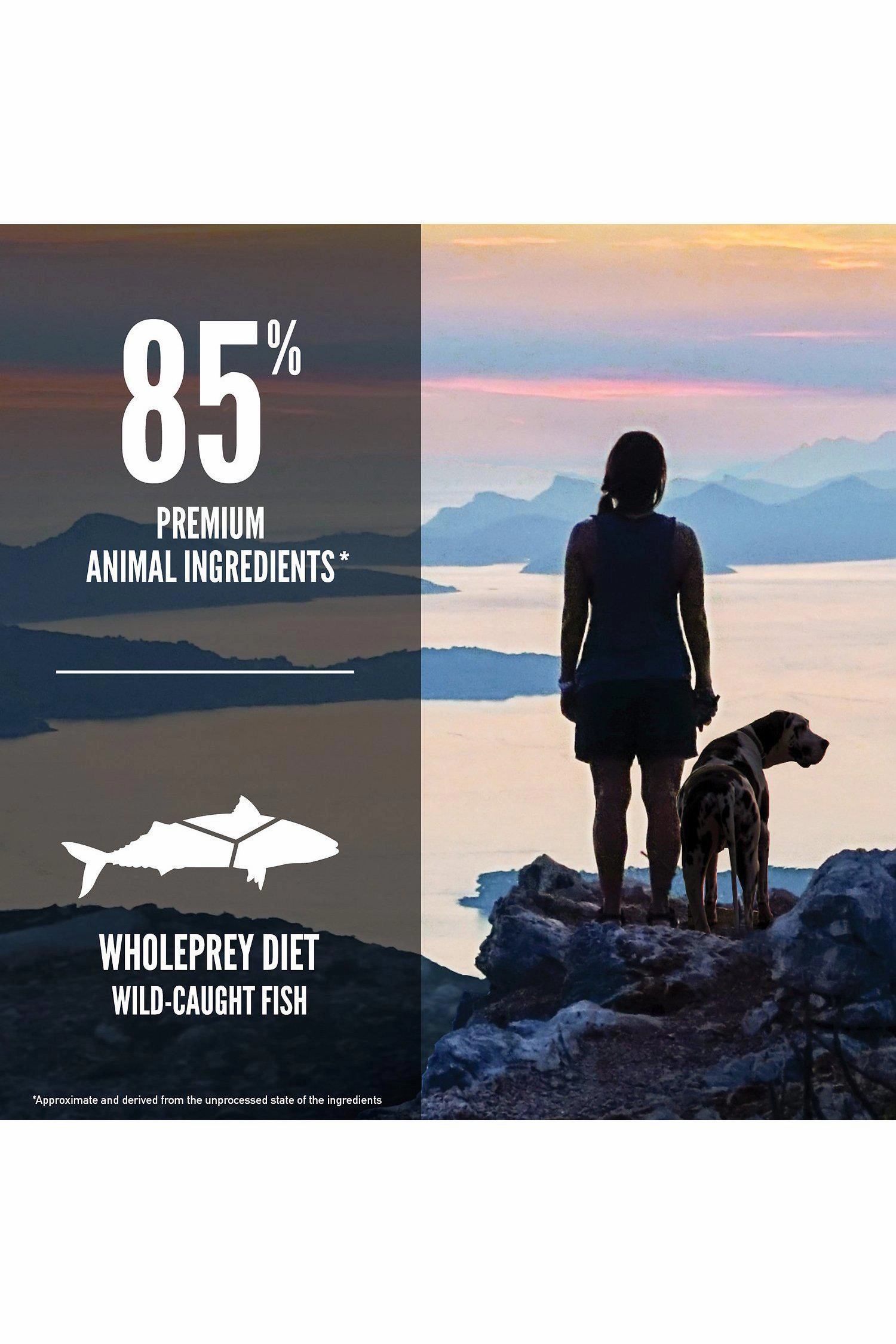 Orijen Six Fish Dry Dog Food