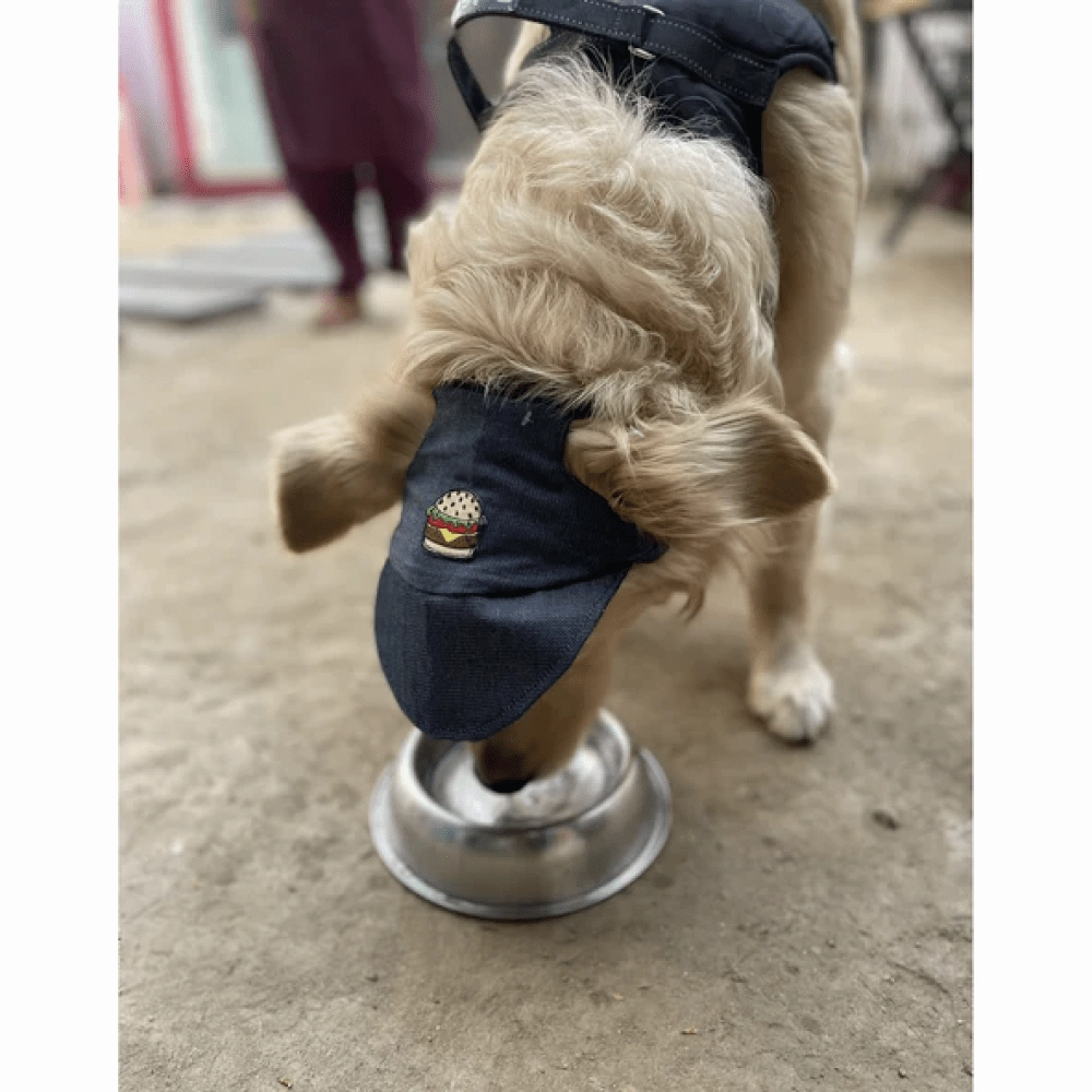 Pawgypets Cap for Dogs and Cats (Denim)