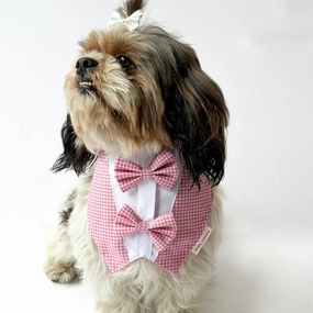 Pawgypets Casual Check Bandana for Dogs and Cats (Pink)