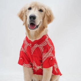 Pawgypets Festive Gota Shirt for Dogs (Red)