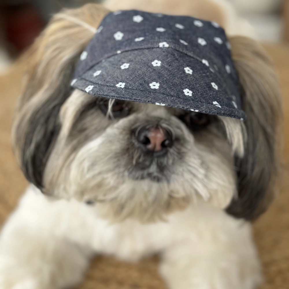 Pawgypets Floral Cap for Dogs (Denim)