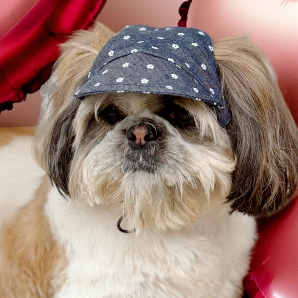 Pawgypets Floral Cap for Dogs (Denim)