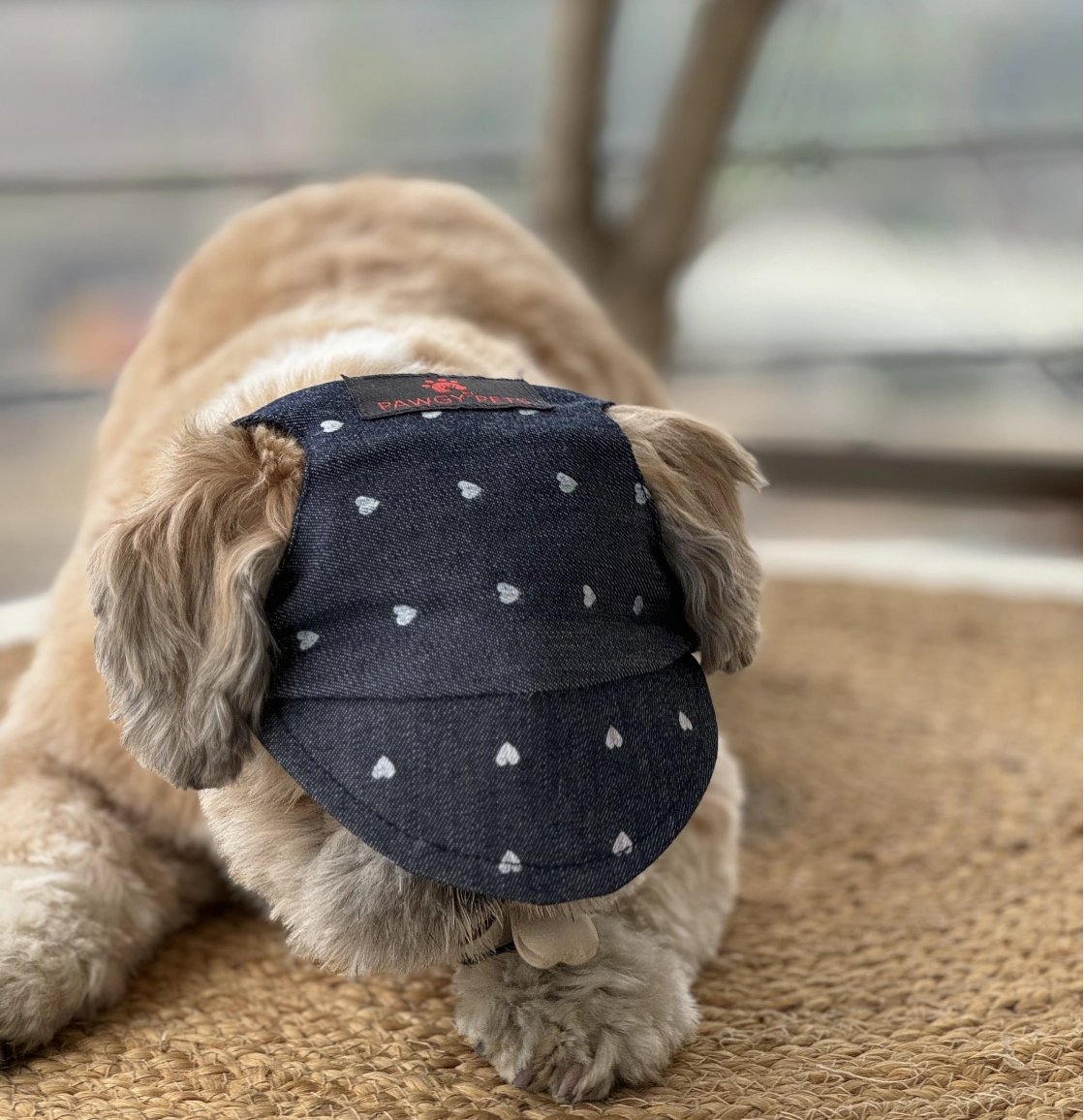 Pawgypets Hearty Cap for Dogs (Denim)