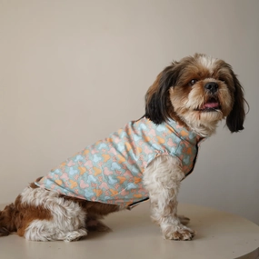 Pawgypets Mickey Overloaded Sando for Dogs (Pastel Green)