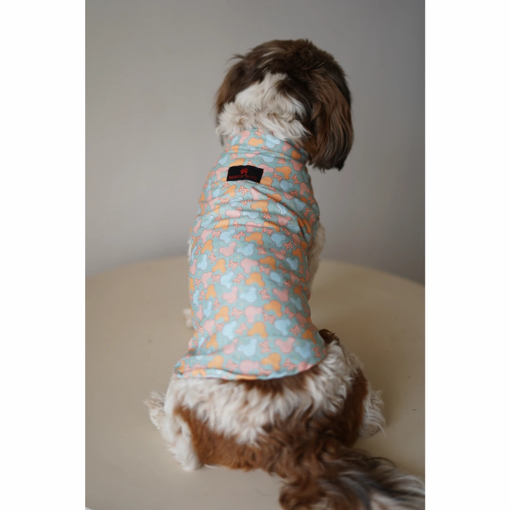 Pawgypets Mickey Overloaded Sando for Dogs (Pastel Green)