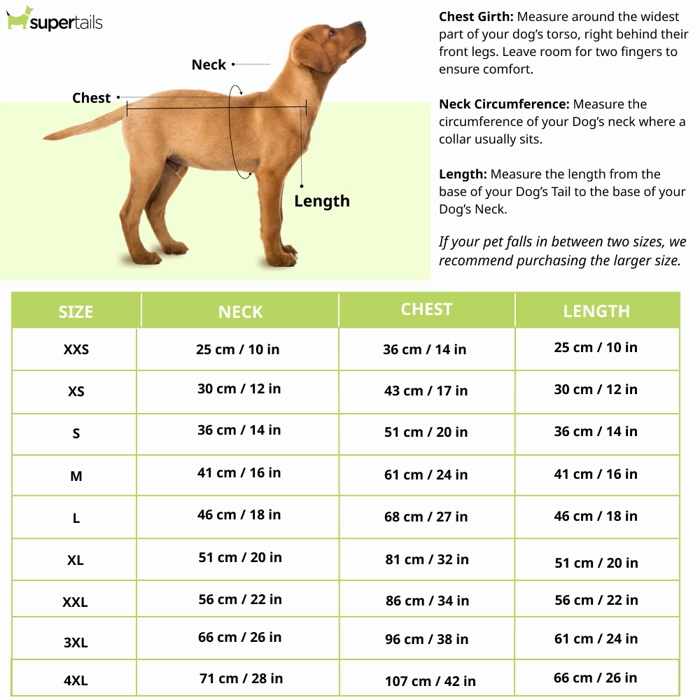 Pawgypets Mickey Overloaded Sando for Dogs (Pastel Green)