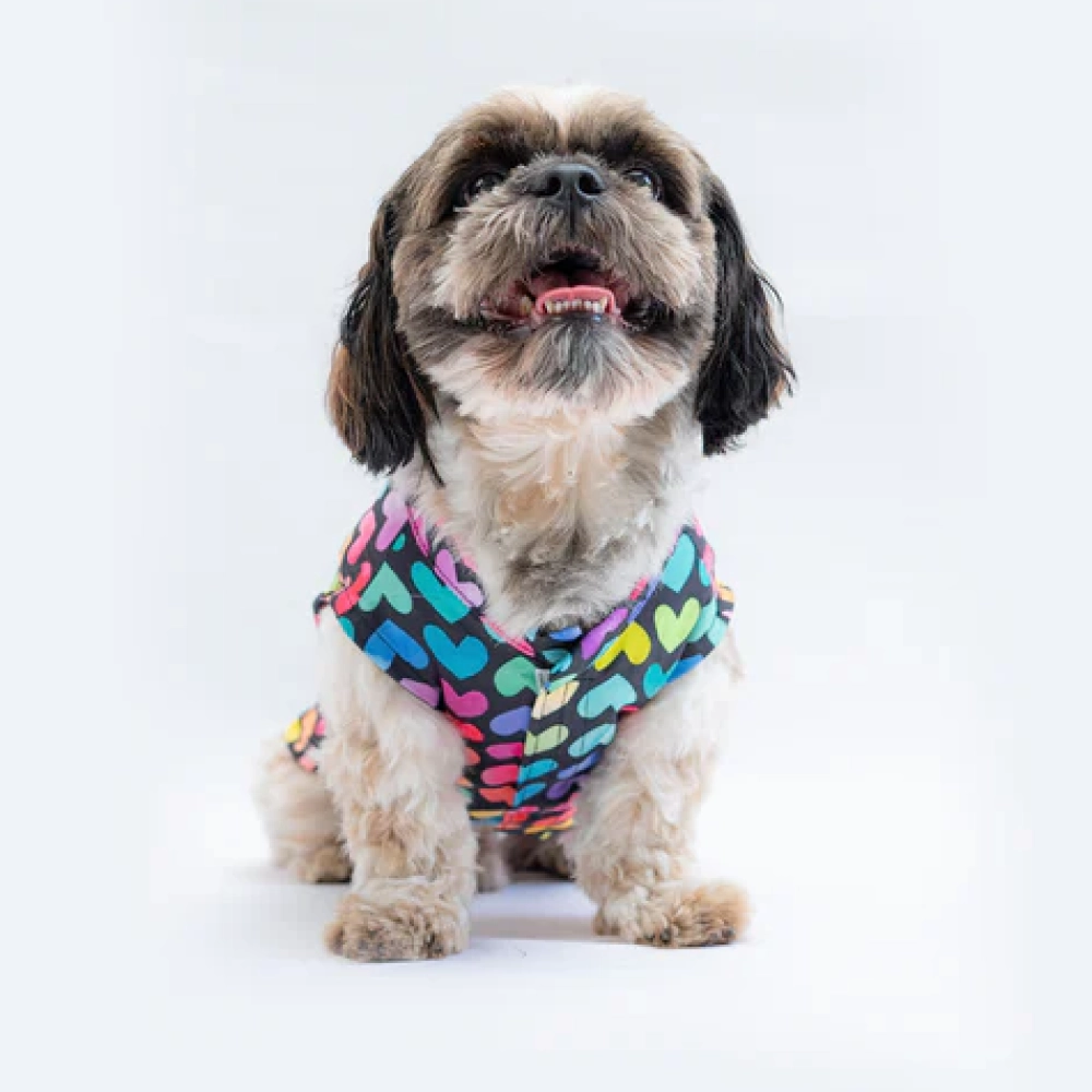 Pawgypets Multi Heart Sando for Dogs (Multi Colour)