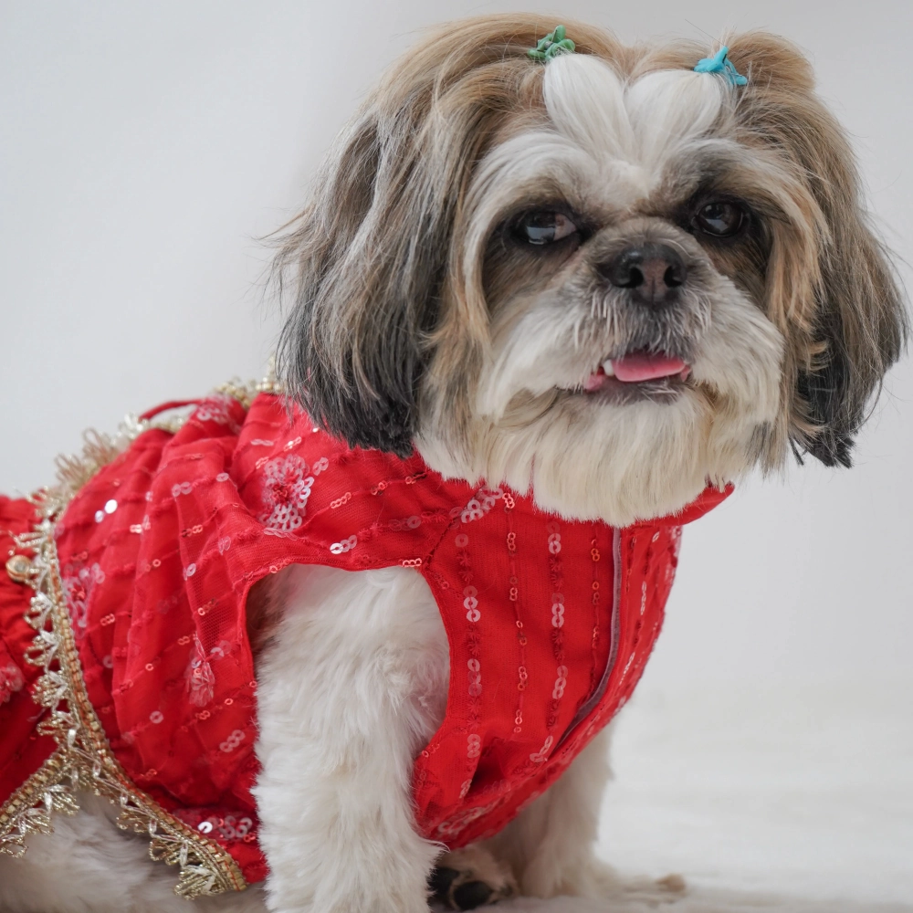 Pawgypets Net Lehenga for Dogs (Red)