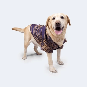 Pawgypets Occasion Wear Shirt for Dogs and Cats (Navy Blue)