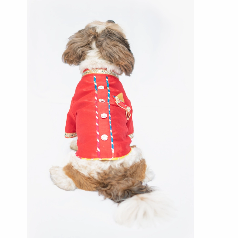 Pawgypets Raw Silk Sherwani for Dogs and Cats (Red)