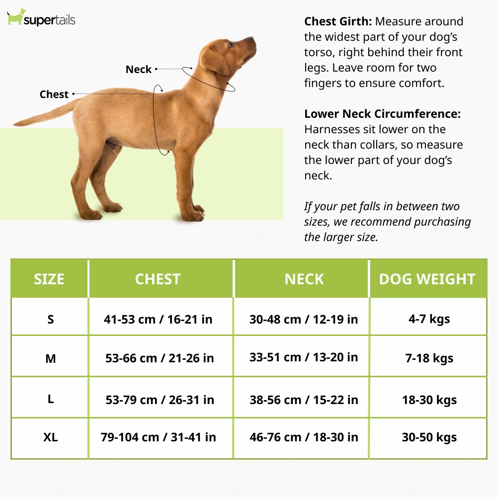 Pawpourri Adjustable Reflective Padded Harness for Dogs (Grey)