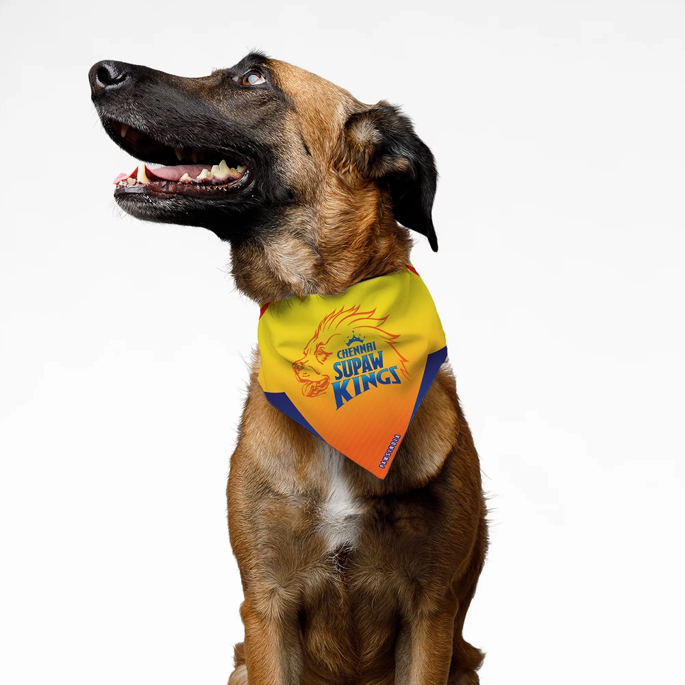 Pawsindia Chennai Supaw Kings ipl Bandana for Dogs